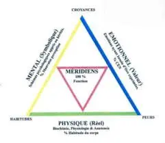 image de pratique de kinésiologie