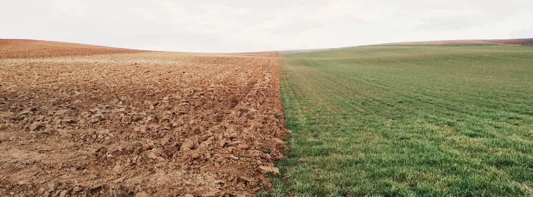 Image en relation avec la terre