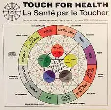 image de pratique de kinésiologie