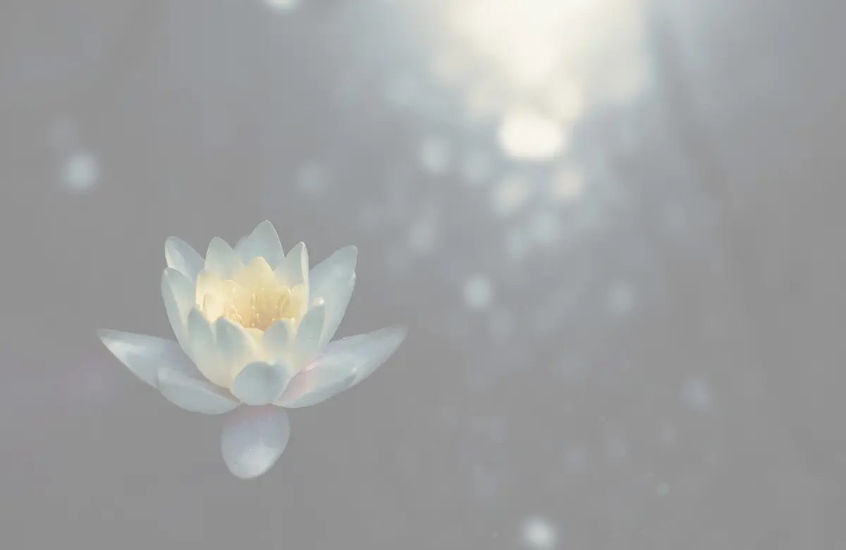 lotus